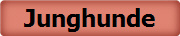 Junghunde